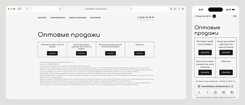Текст под кнопками закрывает основные вопросы оптовиков: как заказать, какие сроки, условия доставки и минимальные суммы. 